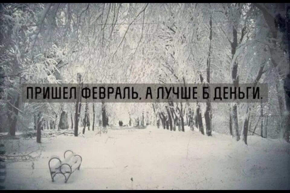 Февраль цитаты. Февральские картинки прикольные. смешное про февраль. смешные картинки про февраль. с последним месяцем зимы.