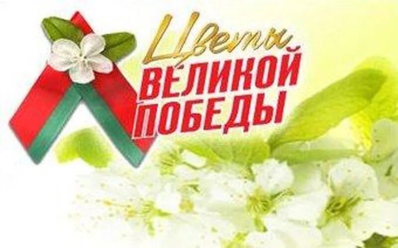 Яблоневый цвет символ победы. Цветы победы. Цветы победы. Красная гвоздика символ победы. Песня цветы победы дарит.