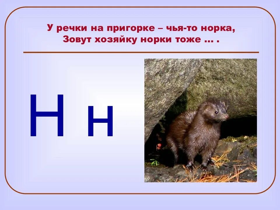 Европейская норка ареал обитания. Звери на букву н. Загадка про норку для детей. Норка загадка. Загадка к слову мышь.