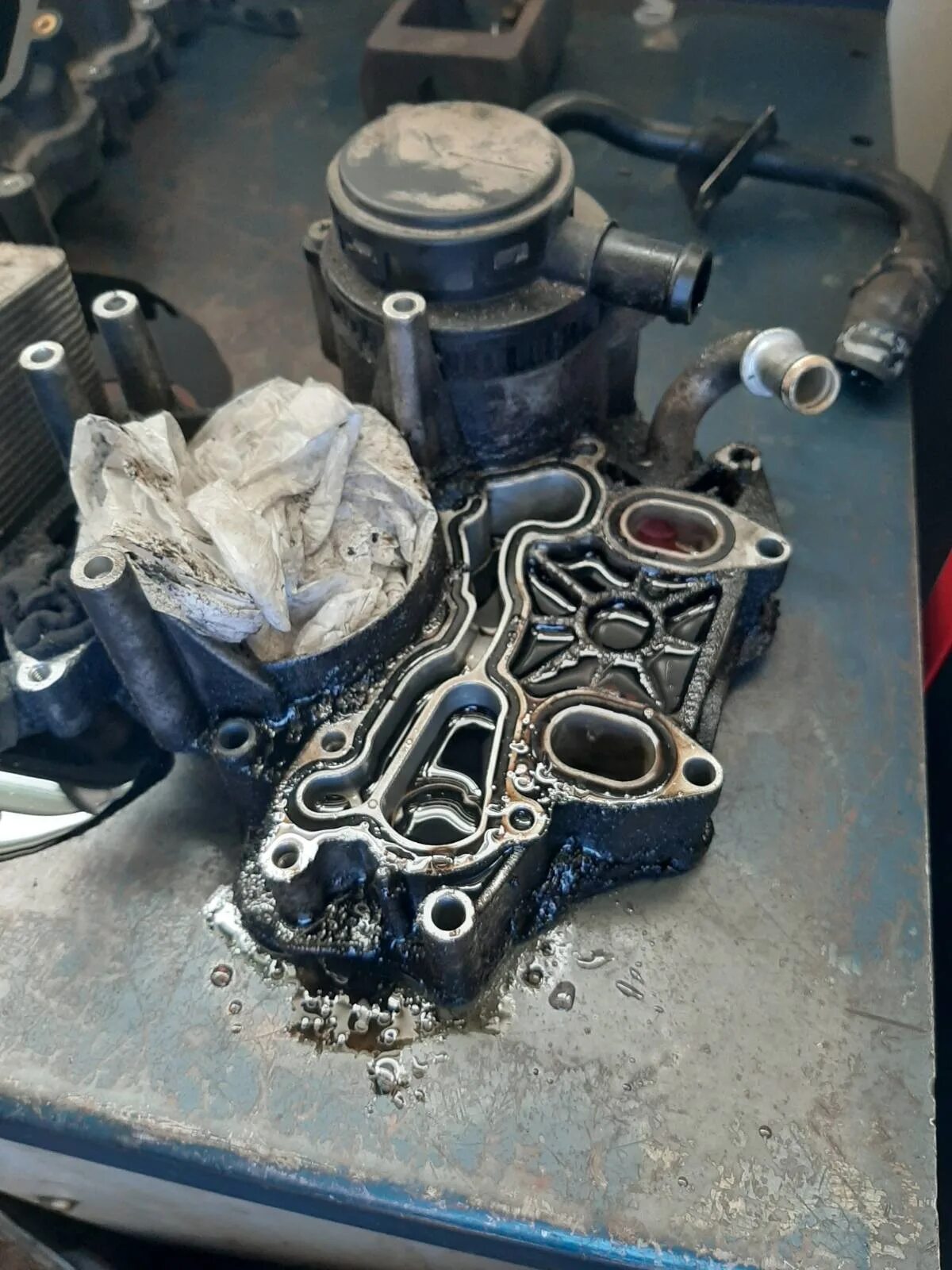 Теплообменник на ауди 100 с4 2. Прокладка теплообменника ауди а4. Теплообменник двигателя адр ауди а4. Замена прокладки теплообменника ауди. Прокладка теплообменника ауди а8 д3 w12.