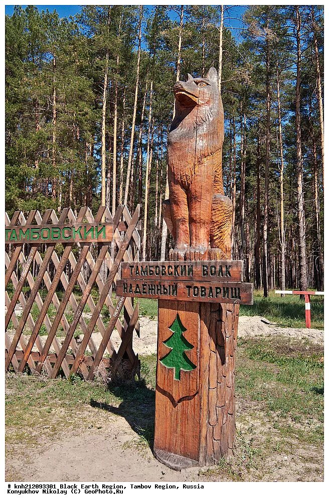 Памятник тамбовскому волку. Тамбовский волк Тамбов. Тамбовский волк скульптура в Тамбове. Статуя волка в Тамбовской области. Памятник волку в Тамбове.