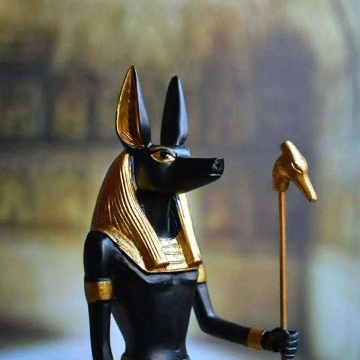 Анубис Бог древнего Египта. Древние Египт Бог анубиусе. Анубис статуя в Египте древняя. Анубис малыш. Что такое анубис