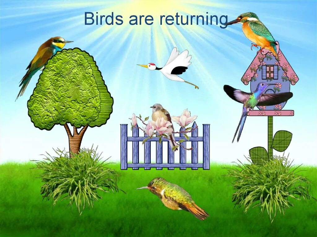 12 birds. Spring для презентации. Springtime презентация для детей. Are Birds. The Birds Return Colour book.