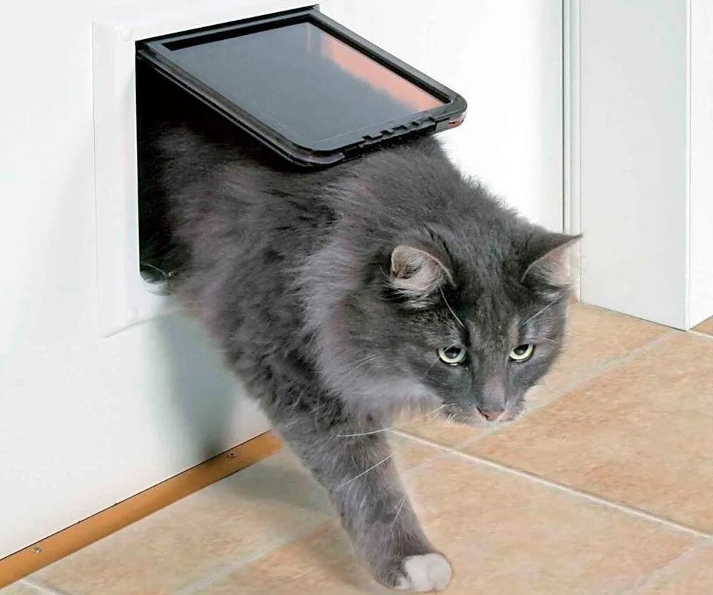 Cat way