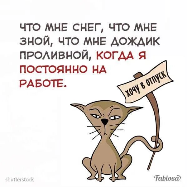 Что мне дождик проливной когда. Когда мои друзья со мной. Что мне снег что мне зной. Что мне зной что мне дождик проливной когда мои друзья со мной. Текс песни когда мои друзья сл мной.
