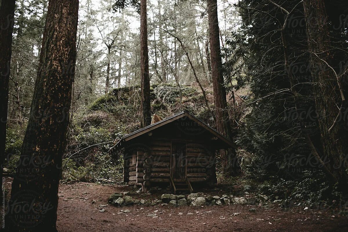 Cabin in Forest. Dark Cabin. The Woods collection Dark Forest. Ted Kaczynski in Forest Cabin.