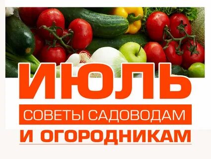 День садовода огородника