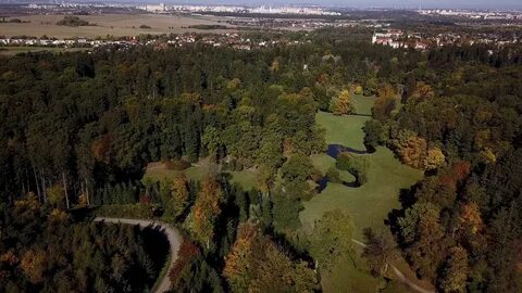 Дмитровские леса