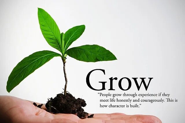 People grew this. Бизнес grow. Модель grow. Grow картинка. Grow бизнес коучинг.