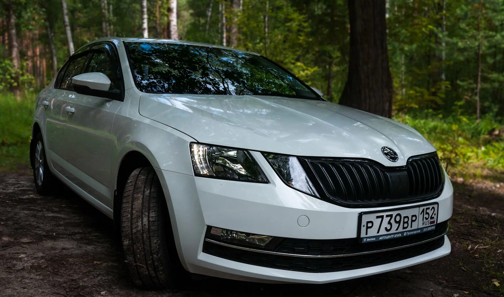 Купить шкоду в тюмени. Skoda Octavia mk3. Skoda Octavia 2018. Шкода Octavia 2018.