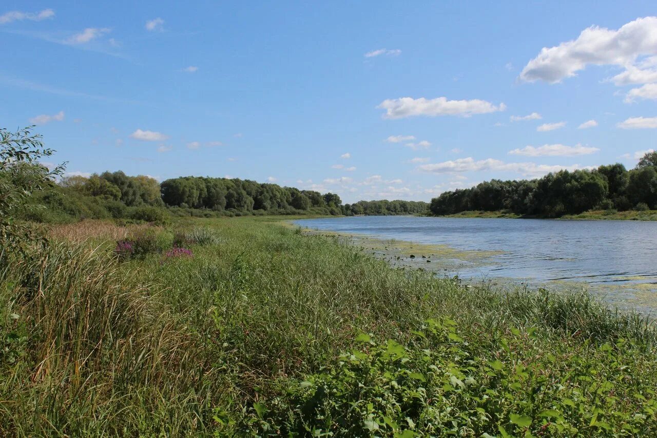 Река вологда затон. Затон 25 октября нижний новгород. Затон 25 октября нижний новгород. Ст-797 судно. Затон жлобинского.