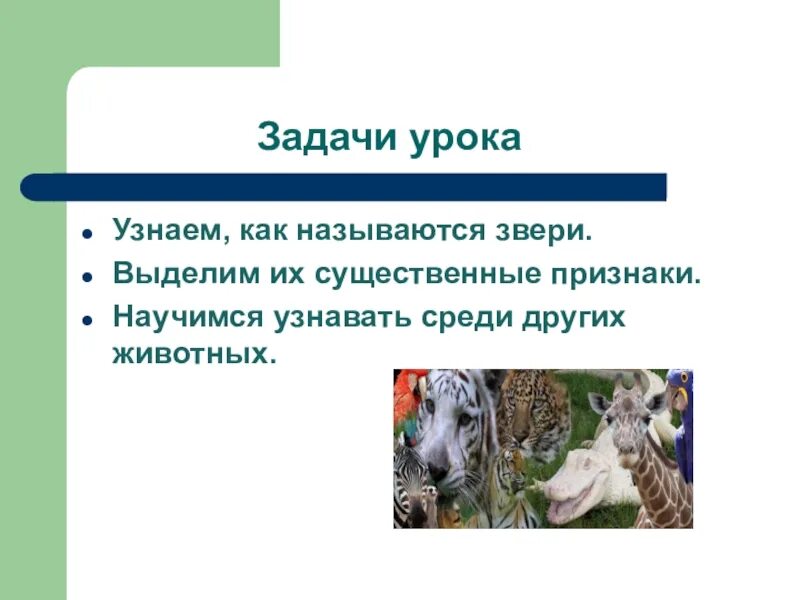 Млекопитающие животные 2 класс окружающий мир конспект. Млекопитающие животные презентация. животные для презентации. животные на уроке. 1 класс млекопитающие животные презентация.