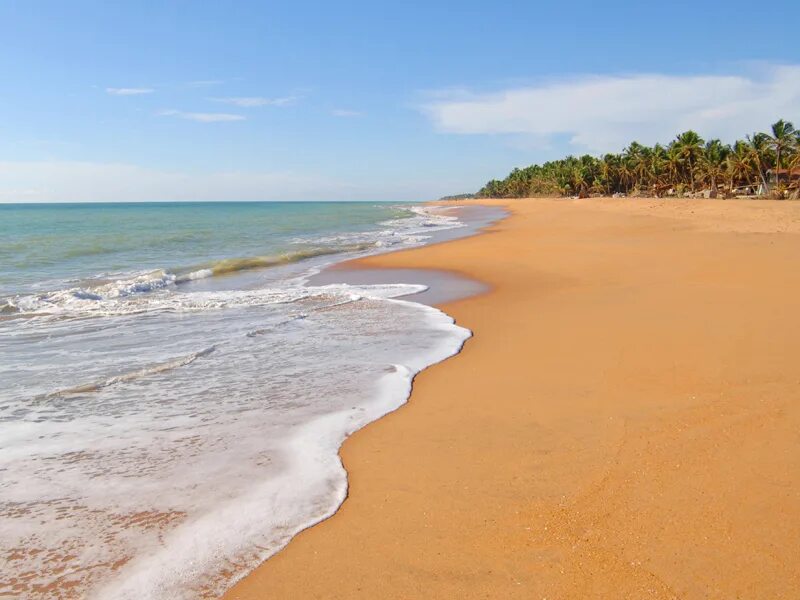 Палм шри ланка. Club Palm Bay Шри Ланка. Пляж Маравила Шри Ланка. Маравила Шри Ланка пляж Маравилла. Club Palm Bay 4 Шри Ланка.