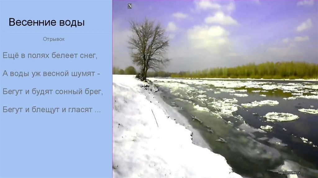 Ф Тютчев весенние воды. Весенние воды стих. Стихотворение весенние воды. Весенние воды ещё в полях. Зачем весны вода шатунова