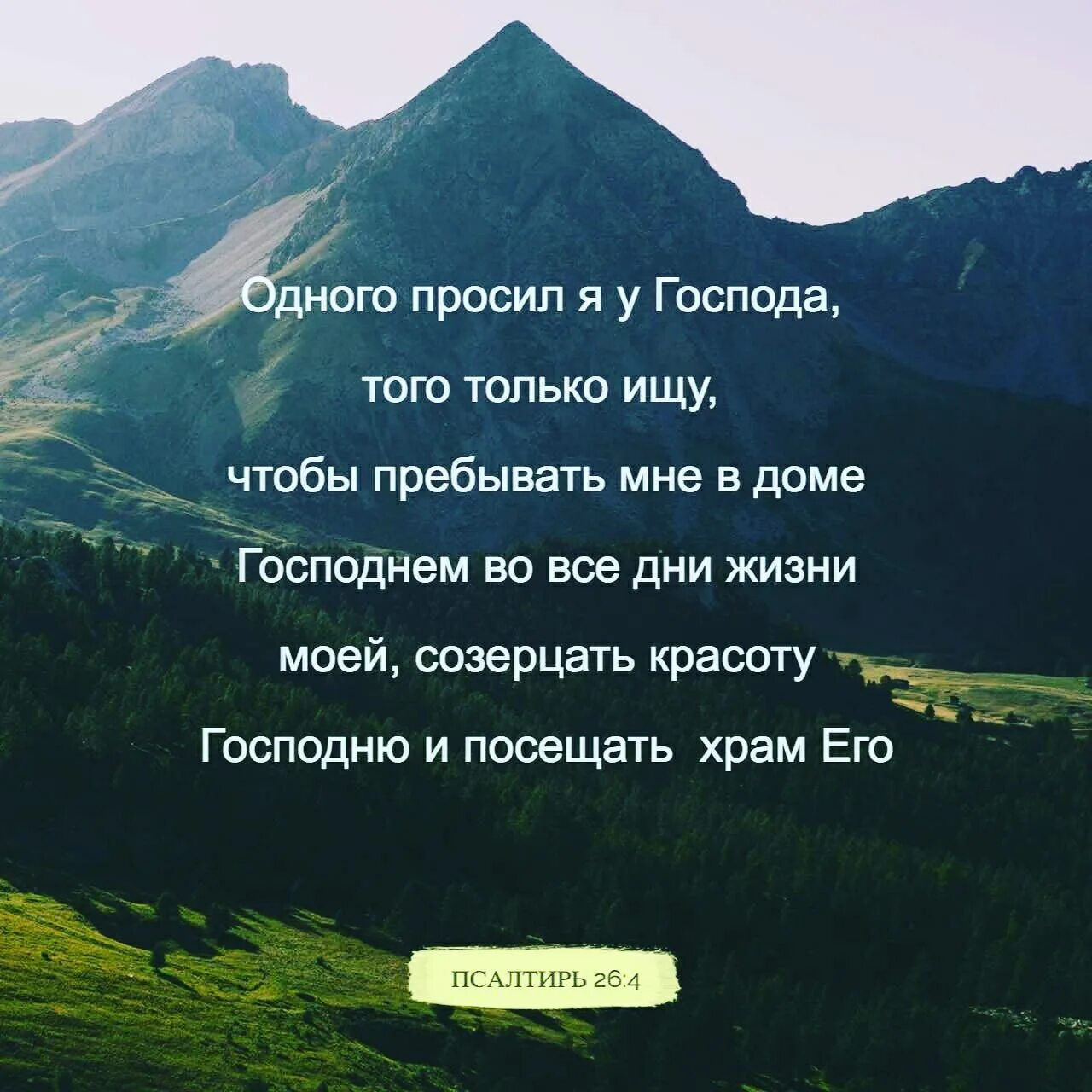 Я Господа прошу лишь об одном. Одного просил я у Господа. Одного просил я у Господа того только ищу чтобы пребывать. Созерцать цитаты. Пребывать дома