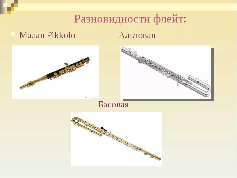 Флейта тип инструмента. Флейта. виды флейт. виды флейт названия. деревянные духовые инструменты.