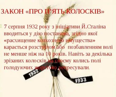 Закон 5 лет