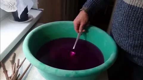 Раствор марганцовки для замачивания чеснока