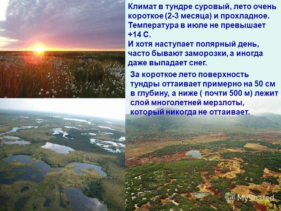 климат очень суровый. климат очень суровый. климат арктики россии. климат очень суровый. ледяные пустыни климат.