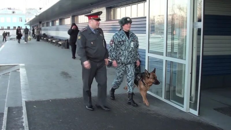 Сап орд