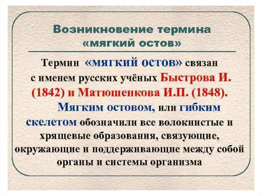 Оста термины. Мягкий остов. Мягкий остов определение классификация. Мягкий остов человека анатомия. Мягкий остов, составные элементы, роль в организме.