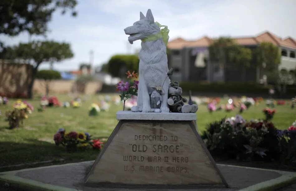 Pet cemetery. Кладбище домашних животных в гайд-парке Лондон Великобритания. Кладбище домашних животных в США. Кладбище домашних животных гайд парк Лондон. Кладбище домашних животных в гайд парке.