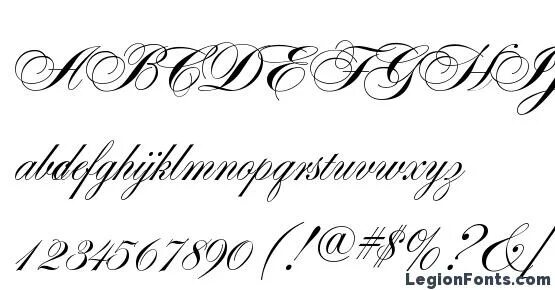 Alexander script. Лого рукописный шрифт. Alexander script. Александра шрифт. Выявление и коррекция своих убеждений.