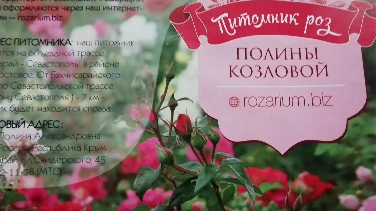 Питомник Полины козловой. Питомник роз Полины козловой rozarium biz.