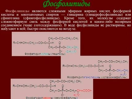 Комплекс фосфолипидов плюс