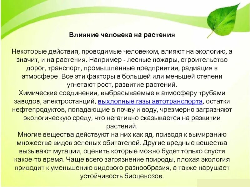 Воздействие человека на растения. Влияние экологии на растения. Влияние деятельности человека на растения. Влияние человека на растительный. Какое влияние оказывает природа на человека сочинение