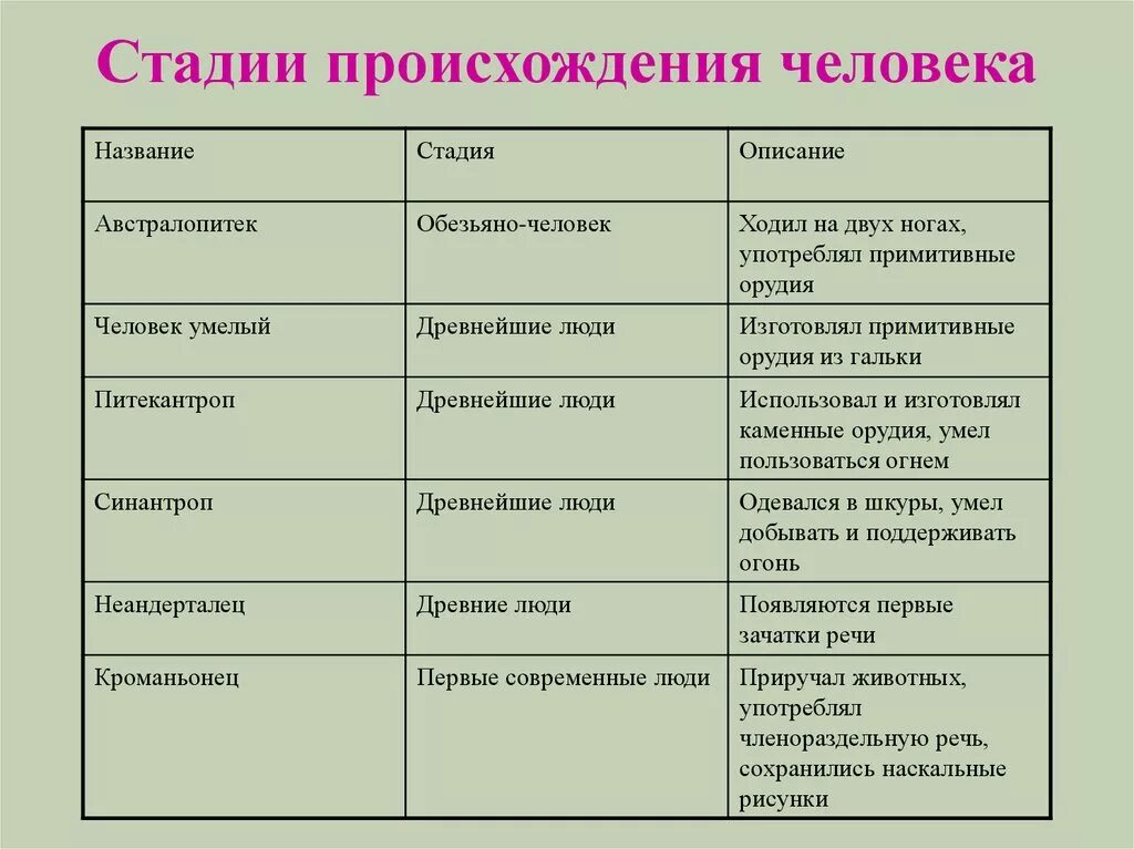 Стадии развития человека биология 5 класс. Этапы происхождения человека схема. Стадия развития человека таблица по биологии. Стадии развития человека таблица биология 5 класс. Последовательность появления человека