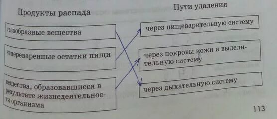 Одинаковые продукты распада удаляются. Конечные продукты распада удаляются из организма. Продукты распада удаляются. Схема удаления продуктов распада. Какие органы выделения газообразных продуктов.