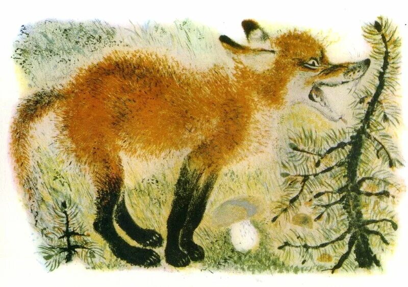 Иллюстратор пушистый. Иллюстратор пушистый. Пушистые буквы в фотошопе. Евгения соловьева художница иллюстрации. Кот штриховка.