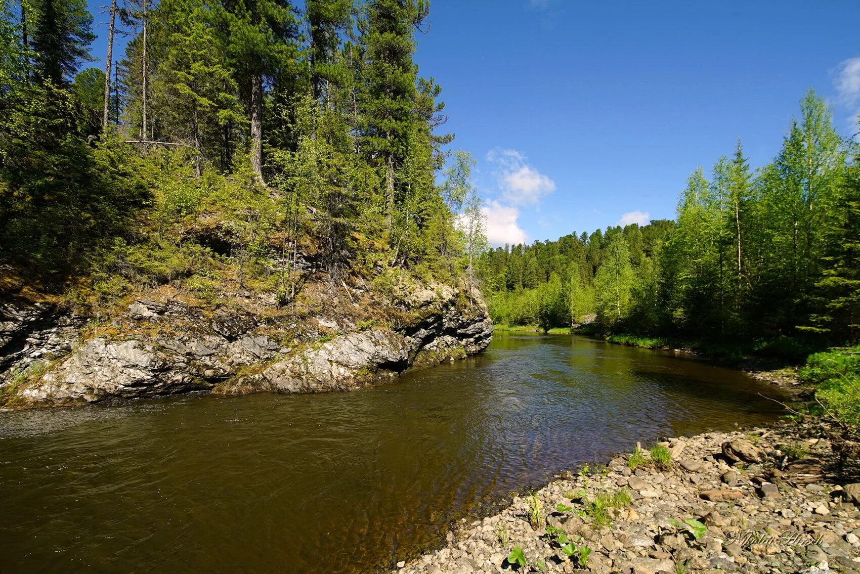 Таежно-александровка речка. Тайга лес усть-илимск. Тайга какие реки. Тайга нижнеудинского района. Сибирь тайга и река.