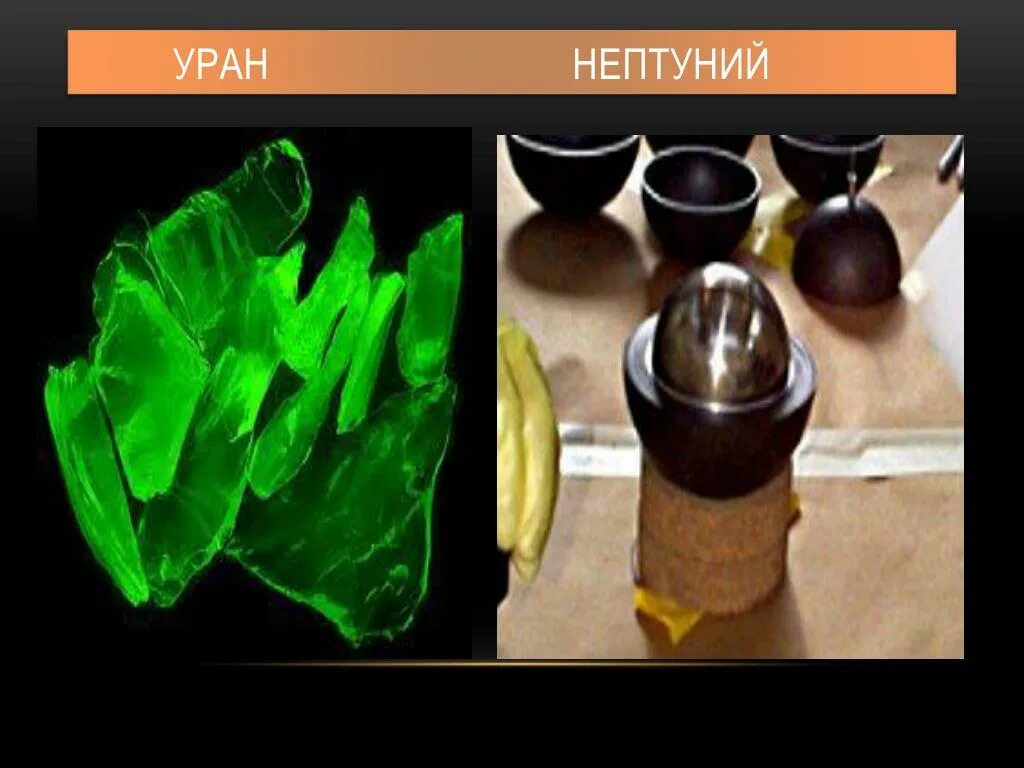 Нептуний элемент. Нептуний элемент