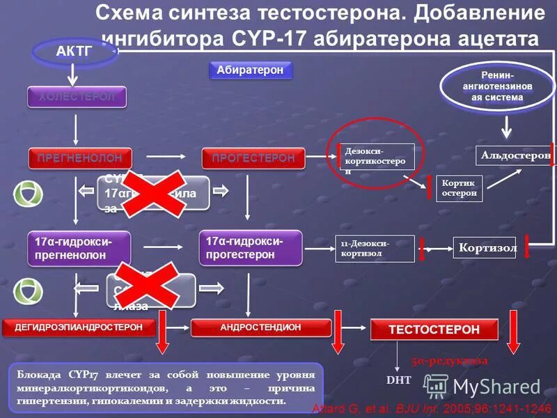 Добавление ингибитора приводит