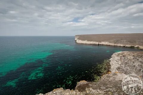 Тарханкут оленевка