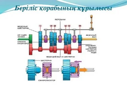 35 жастағы томпақпен жыныстық қатынас
