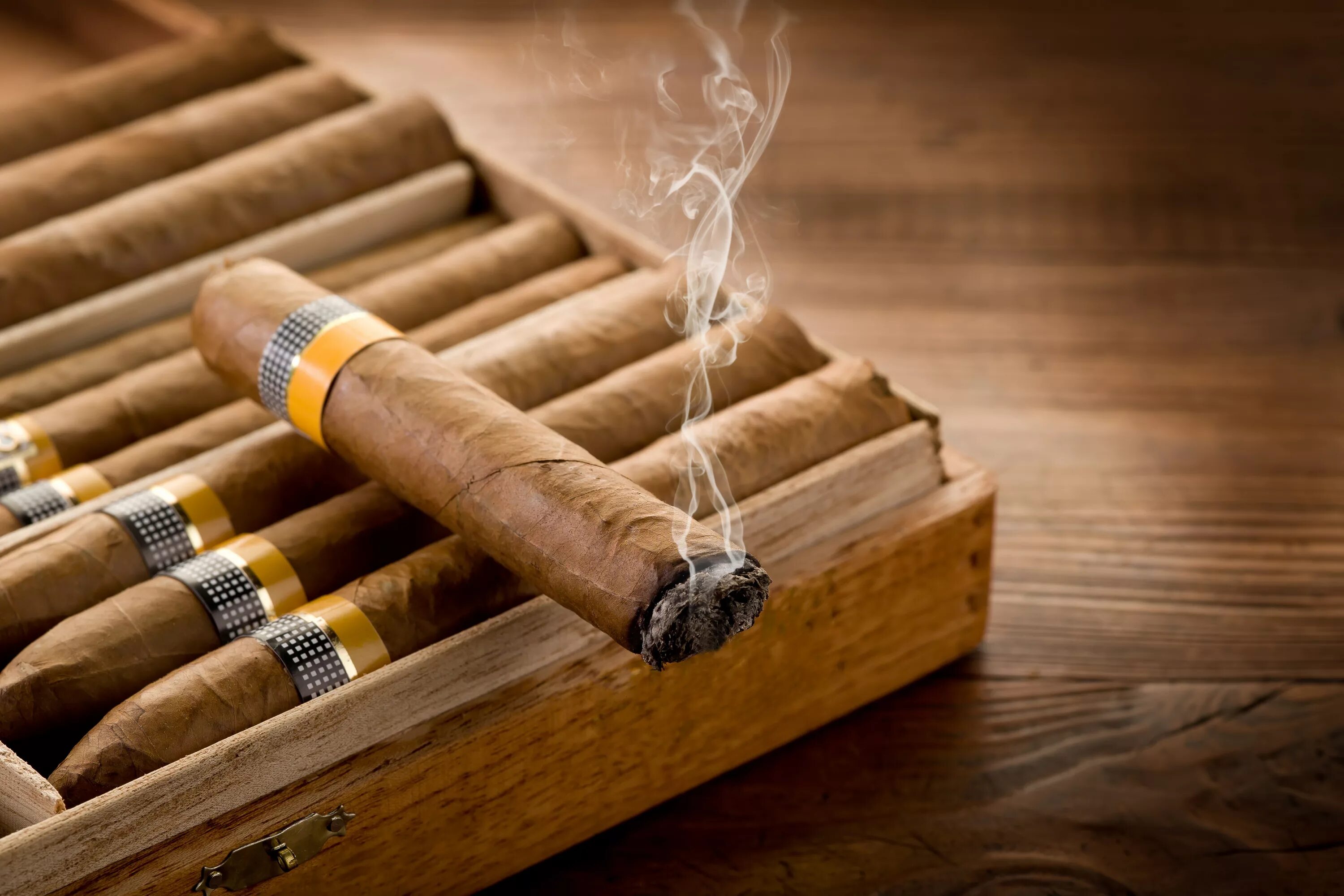 Фон сигары. Сигариллы коиба. сигары cohiba magicos. толстая кубинская сигара. кубинские сигареты cohiba.