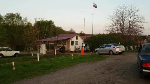 Золотой карп воронежская область