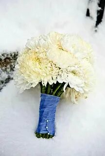 Цветок для зимних букетов 11 букв