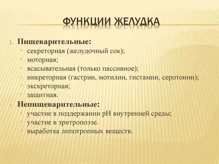 5 функций желудка