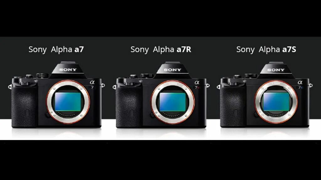 A7c vs a7c ii. Sony a7s1. фотоаппарат sony a7s3. sony a7 линейка. sony a7c vs a7.