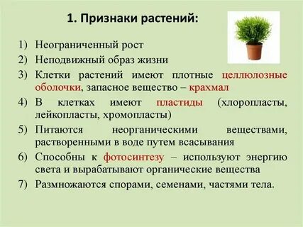 Общие признаки растений шестой класс биология
