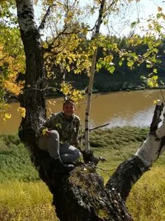 Погода в каюкова