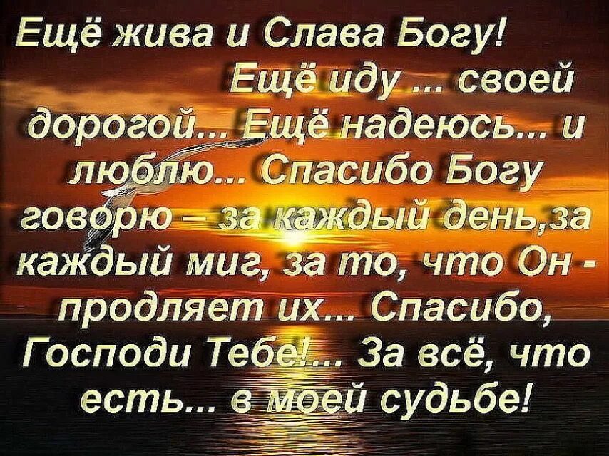 Спасибо богу стих. Благодарность богу. слова благодарности богу. цитаты про благодарность богу. благодарность богу в стихах.