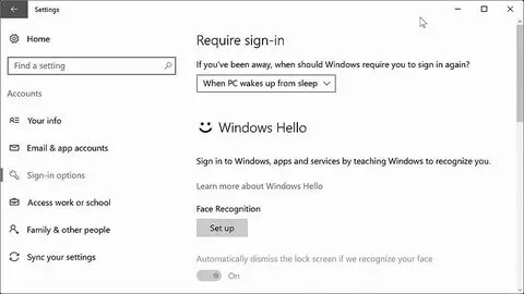 Windows face