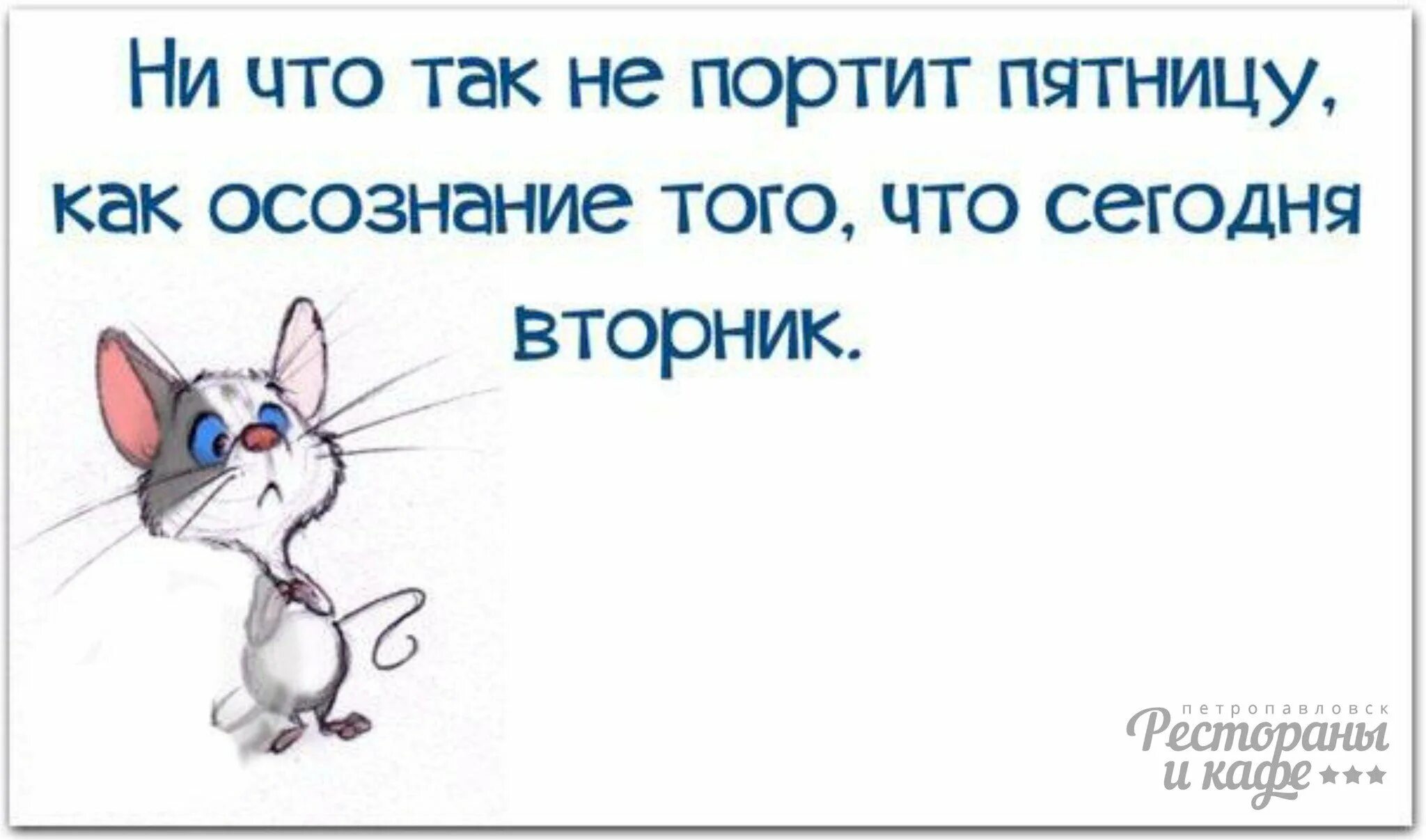 Ничего не выходит в жизни. Высказывания про вторник. Вторник приколы. Смешные высказывания про вторник. Вторник картинки прикольные.