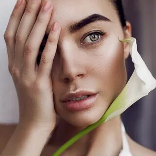Mila model