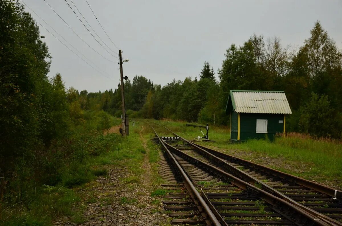 Селижарово. Селижарово Тверской области. Деревня Скакулино Селижаровский район. Стрелочный пост. Погода в селижарово на 10